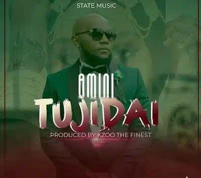 Audio: Amini - Tujidai (Mp3 Download)