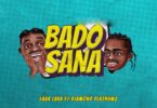 Audio: Lava Lava Ft Diamond Platnumz - Bado Sana (Mp3 Download) - KibaBoy