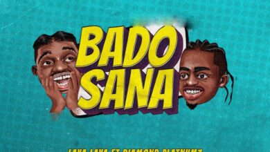 Audio: Lava Lava Ft Diamond Platnumz - Bado Sana (Mp3 Download) - KibaBoy