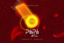 Audio: Ibrah Nation - Pilipili Hoho (Mp3 Downlod) - KibaBoy