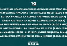 Lyrics VIDEO: Lava Lava Ft Diamond Platnumz - Bado Sana (Mp4 Download) - KibaBoy