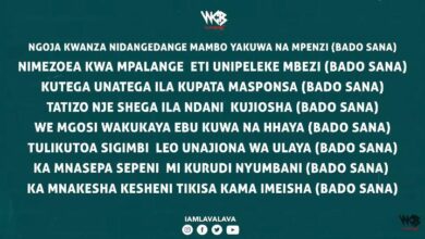 Lyrics VIDEO: Lava Lava Ft Diamond Platnumz - Bado Sana (Mp4 Download) - KibaBoy