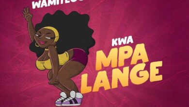 Audio: Nay Wa Mitego - Kwa Mpalange (Mp3 Download) - KibaBoy