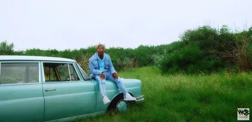 VIDEO: Rayvanny Ft Enisa - Number One Remix (Mp4 Download)