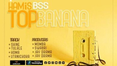 Audio: Hamis Bss - Tulale (Mp3 Download) - KibaBoy