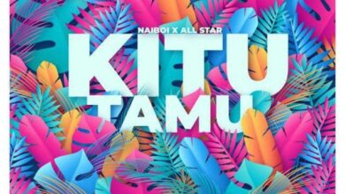 Audio: Naiboi Ft. All Stars - Kitu Tamu (Mp3 Download) - KibaBoy