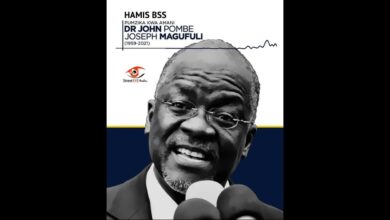 Audio: Hamis Bss - Magufuli Umekwenda (Mp3 Download) - KibaBoy