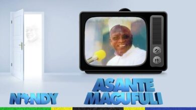 Audio: Nandy - Ahsante Magufuli (Mp3 Download) - KibaBoy