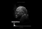 Audio: Nuh Mziwanda - Magufuli (Mp3 Download) - KibaBoy