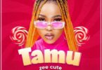 Audio: Zee Cute - Tamu (Mp3 Download) - KibaBoy