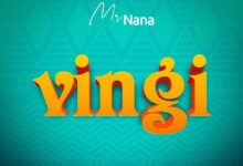 Audio: Mr Nana - Vingi (Mp3 Download) - KibaBoy