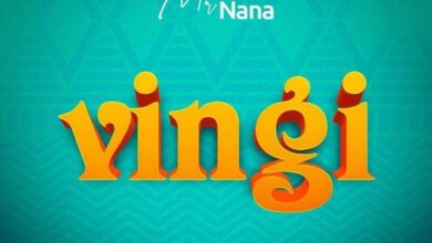 Audio: Mr Nana - Vingi (Mp3 Download) - KibaBoy