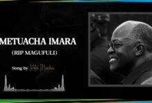 Audio: Peter Msechu - MAGUFULI UMETUACHA IMARA (Mp3 Download) - KibaBoy