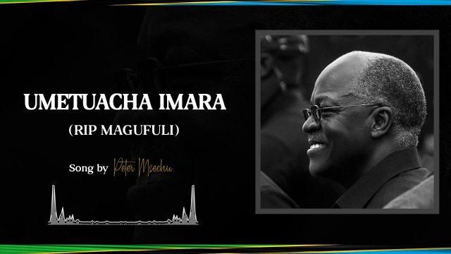 Audio: Peter Msechu - MAGUFULI UMETUACHA IMARA (Mp3 Download) - KibaBoy