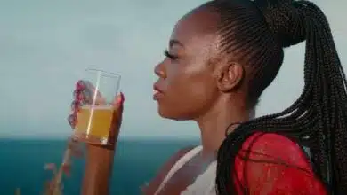 VIDEO: Akothee - Hayakuhusu (Mp4 Download)