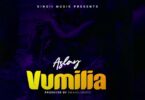 Audio: Aslay - Vumilia (Mp3 Download) - KibaBoy