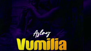 Audio: Aslay - Vumilia (Mp3 Download) - KibaBoy