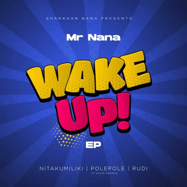 Audio: Mr Nana - Rudi (Mp3 Download)
