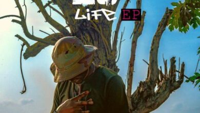 Audio: Nyandu Tozzy Ft. Fid Q & Mbosso - 26 Life (Mp3 Download) - KibaBoy