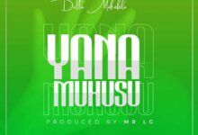 Audio: Dulla Makabila - Yanamuhusu (Mp3 Download) - KibaBoy