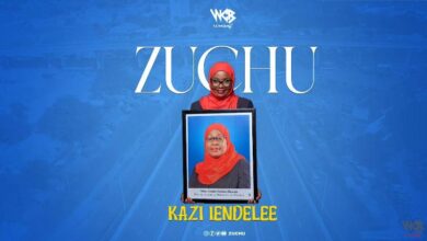 Audio: Zuchu - Kazi Iendelee (Mp3 Download) - KibaBoy