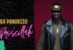Audio: Meddy Ft Priscillah - Nka Paradizo (Mp3 Download) - KibaBoy