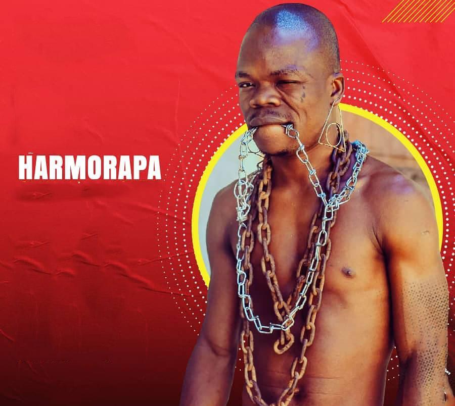 Audio: Harmorapa - Sina Adabu (Mp3 Download) - KibaBoy