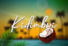 Audio: Meja Kunta - Kidimbwi (Mp3 Download) - KibaBoy