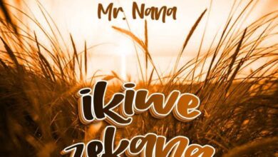 Audio: Mr Nana - Ikiwezekana (Mp3 Download) - KibaBoy