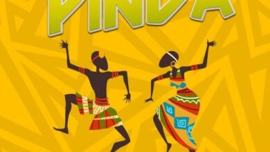 Audio: Nedy Music - Pinda (Mp3 Download) - KibaBoy