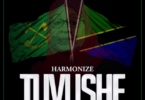 Audio: Harmonize - Tuvushe (Mp3 Download) - KibaBoy