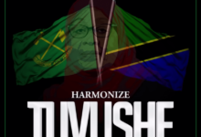 Audio: Harmonize - Tuvushe (Mp3 Download) - KibaBoy