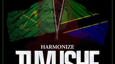 Audio: Harmonize - Tuvushe (Mp3 Download)