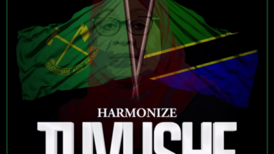 Audio: Harmonize - Tuvushe (Mp3 Download) - KibaBoy