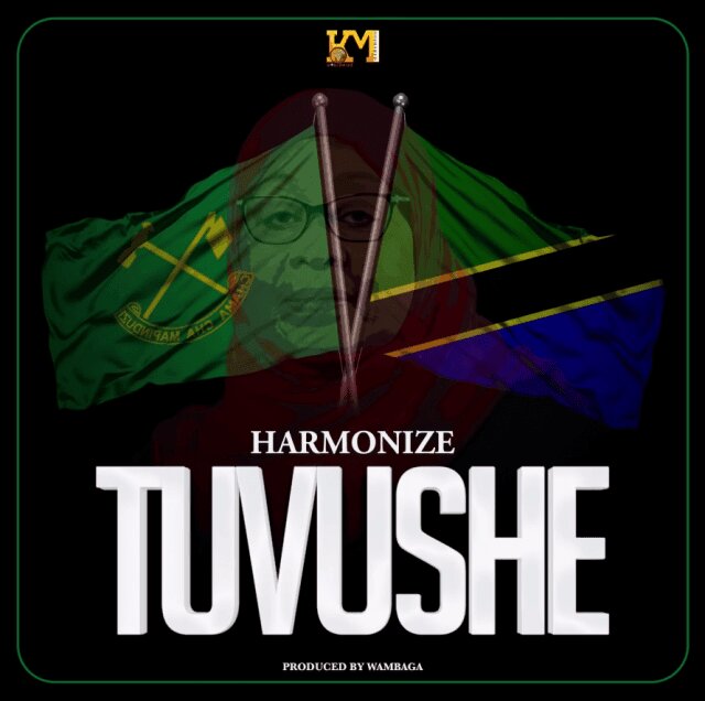 Audio: Harmonize - Tuvushe (Mp3 Download)