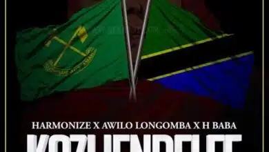 Audio: Harmonize Ft. H Baba & Awilo Longomba - Kazi Iendelee (Mp3 Download)