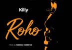 Audio: Killy - Roho (Mp3 Download) - KibaBoy