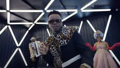 VIDEO: Darassa Ft. Marioo & Nandy - Loyalty (Mp4 Download)