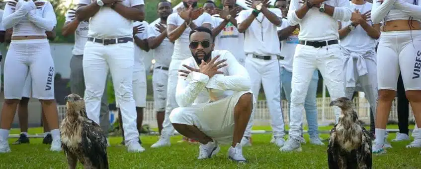 VIDEO: Fally Ipupa - Animation (Mp4 Download)