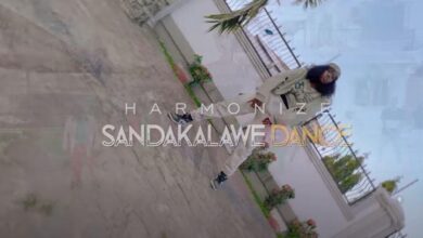 VIDEO: Harmonize - Sandakalawe Dance (Mp4 Download) - KibaBoy