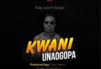 Audio: Nay Wa Mitego - Kwani Unaogopa (Mp3 Download) - KibaBoy