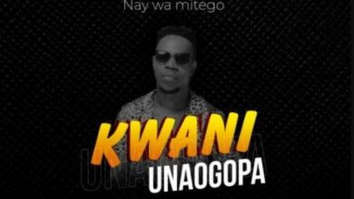 Audio: Nay Wa Mitego - Kwani Unaogopa (Mp3 Download) - KibaBoy