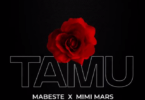 Audio: Mabeste Ft. Mimi Mars - Tamu (Mp3 Download) - KibaBoy