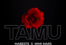 Audio: Mabeste Ft. Mimi Mars - Tamu (Mp3 Download) - KibaBoy