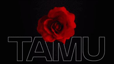 Audio: Mabeste Ft. Mimi Mars - Tamu (Mp3 Download)