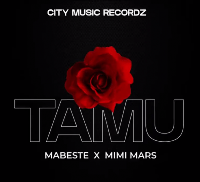 Audio: Mabeste Ft. Mimi Mars - Tamu (Mp3 Download) - KibaBoy