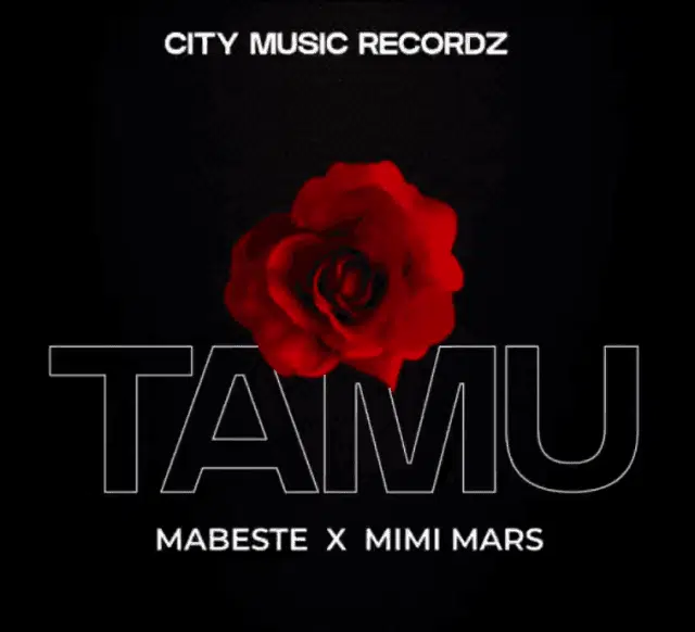 Audio: Mabeste Ft. Mimi Mars - Tamu (Mp3 Download)