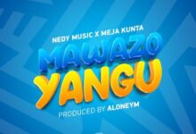 Audio: Nedy Music Ft Meja Kunta - Mawazo Yangu (Mp3 Download) - KibaBoy