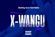 Audio: Shebby Love x Ucho - X Wangu (Mp3 Download) - KibaBoy