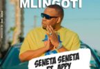 Audio: Seneta Seneta - Nusu Mlingoti (Mp3 Download) - KibaBoy